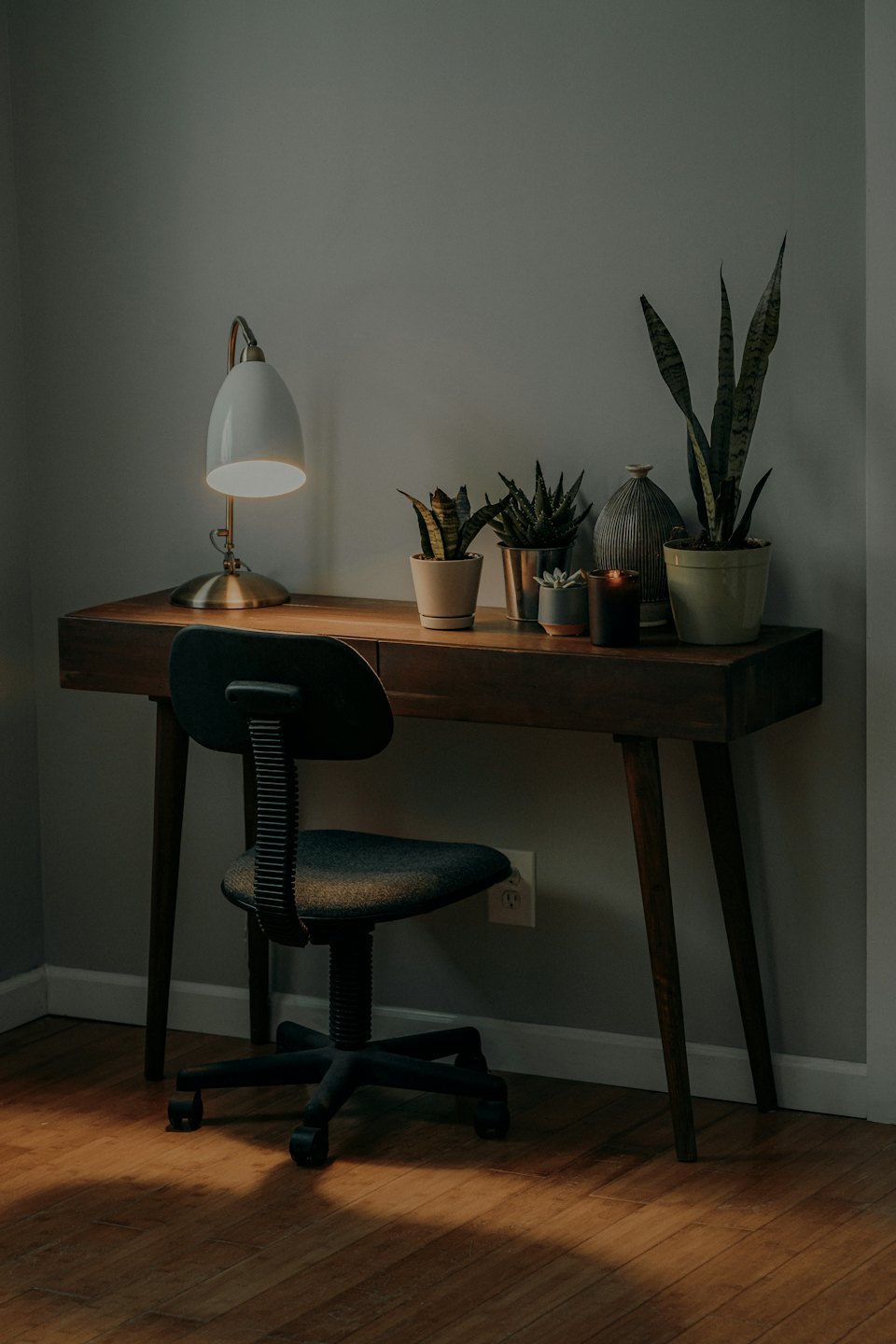 A wooden desk with plants and a lamp in a home office.