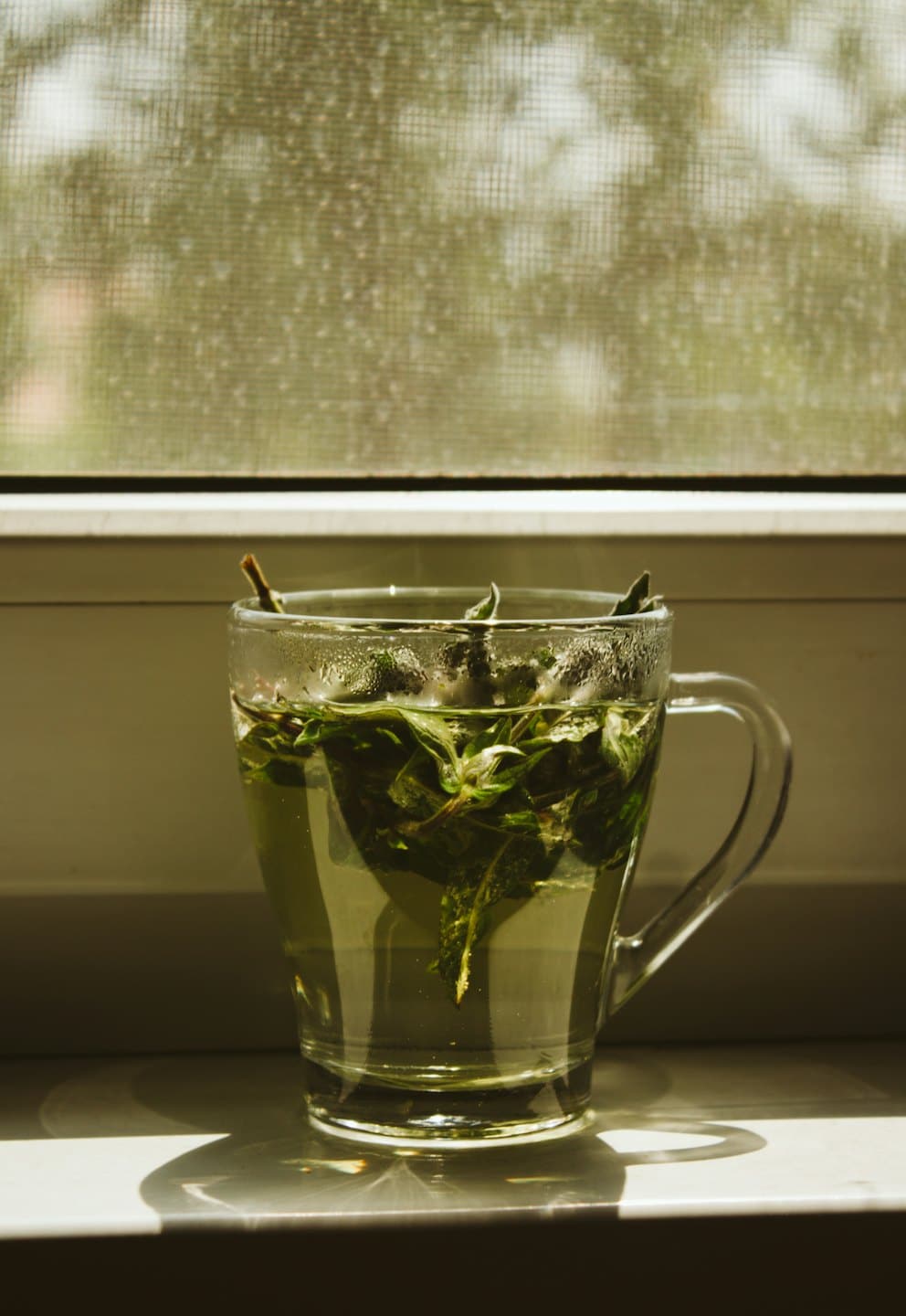 Steaming herbal tea in a glass mug on a window sill.